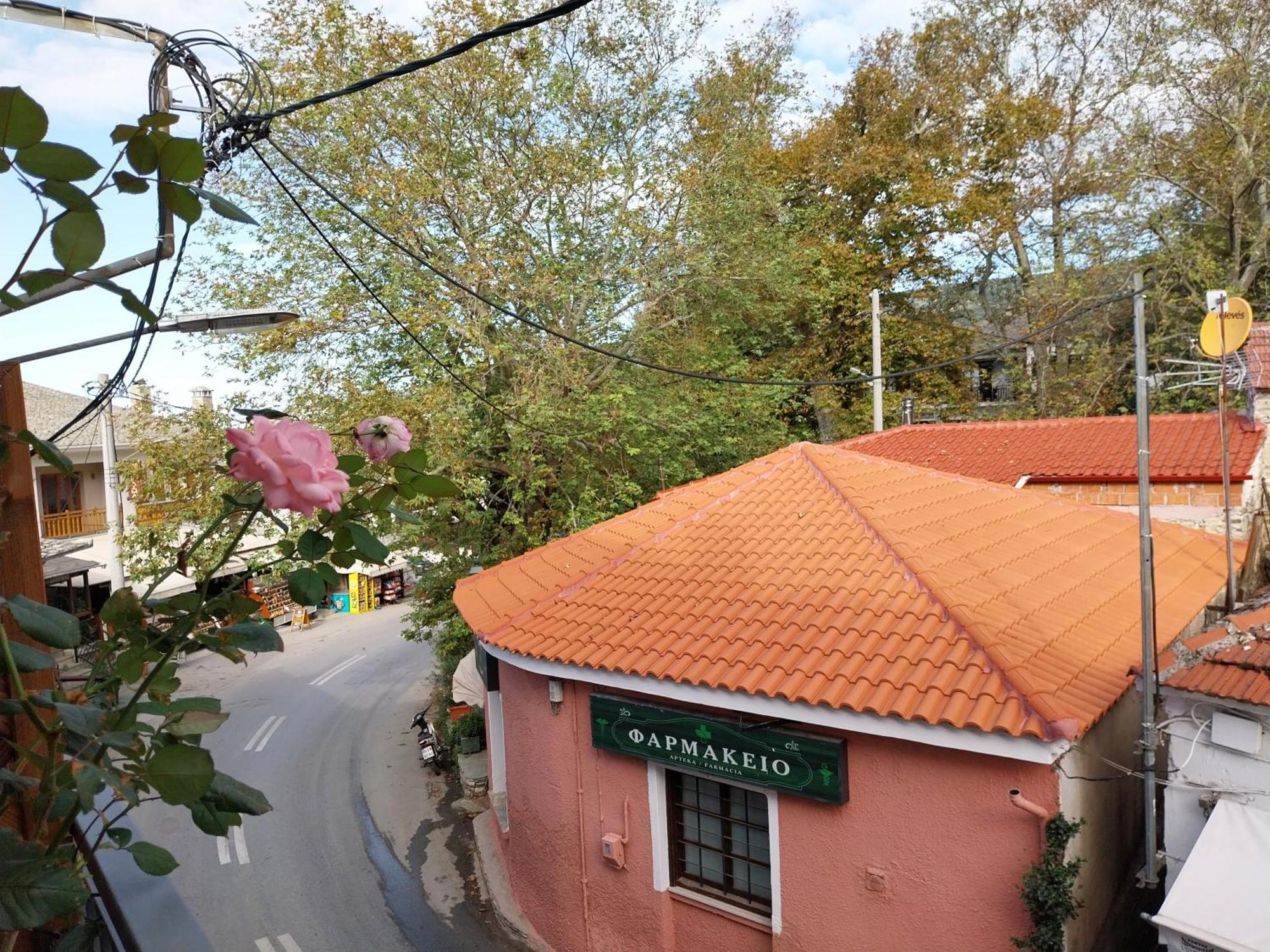 Marousos Central Guesthouse Portariá Kültér fotó
